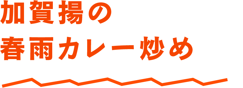 加賀揚の春雨カレー炒め