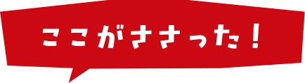 ここがささった!