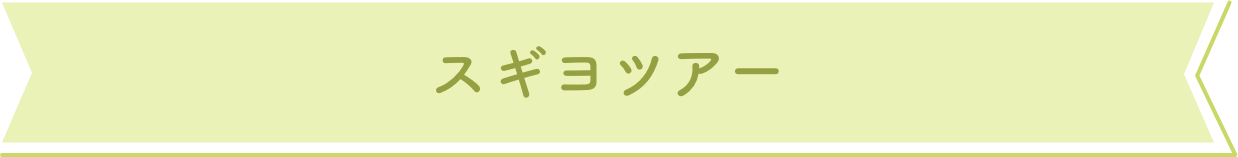 スギヨツアー